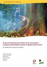 El aprovechamiento de madera en las concesiones castañeras (Bertholletia excelsa) en Madre de Dios, Perú: Un análisis de su situación normativa